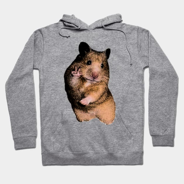 Funny Hamster Shirt, Hamster Meme Shirt, Cute Hamster Dank Meme Quote Shirt Out of Pocket Humor Hoodie by Y2KERA